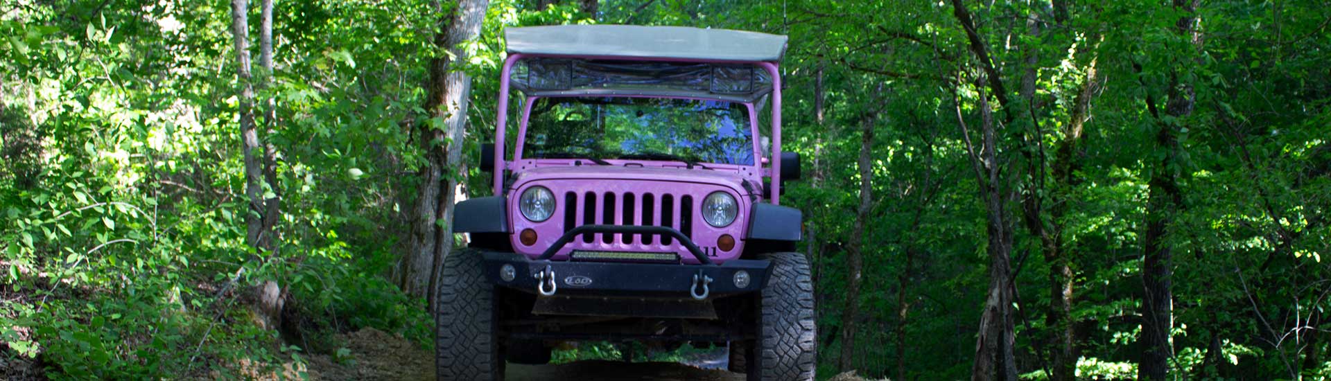Front close-up of Pink Jeep Wrangler on private, 4x4 off-road Bear Track trail exclusive to Pink Jeep Tours, Smoky Mountains, TN.