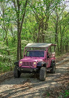 Pink Jeep Wrangler on forested Ozark mountain trail in Branson, MO.