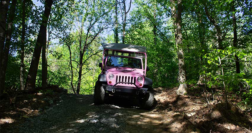 Frontal view of Smoky Mountains Pink Jeep Wrangler on exclusive, private 4x4 Bear Track trail through forest.