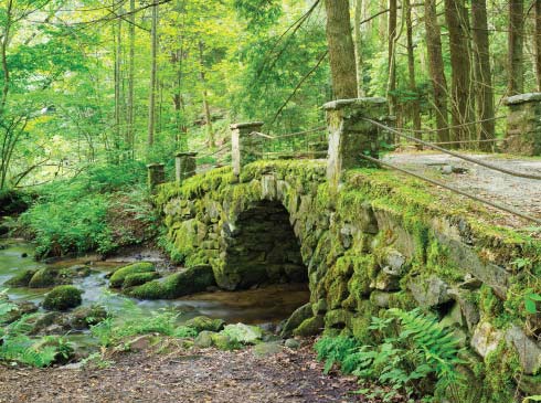 Moss covered Elkmont Troll Bridge, an antique stone bridge near the Little River in the Great Smoky Mountains National Park.