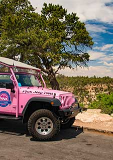 Pink® Jeep® vehicle parked at a lookout point at Grand Canyon National Park.
