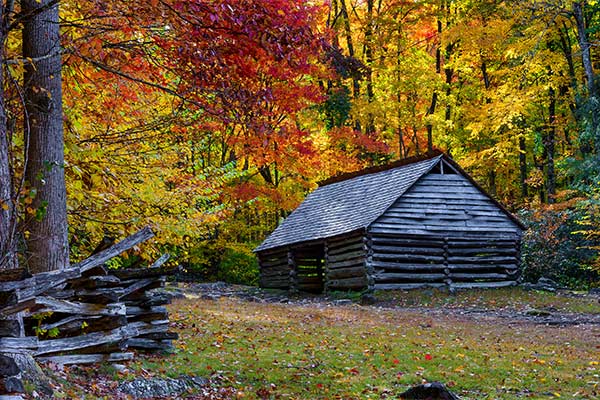A historic hand-hewn cabin is nestled among fiery fall foliage along the Roaring Fork Motor Nature Trail in the Great Smoky Mountains National Park.