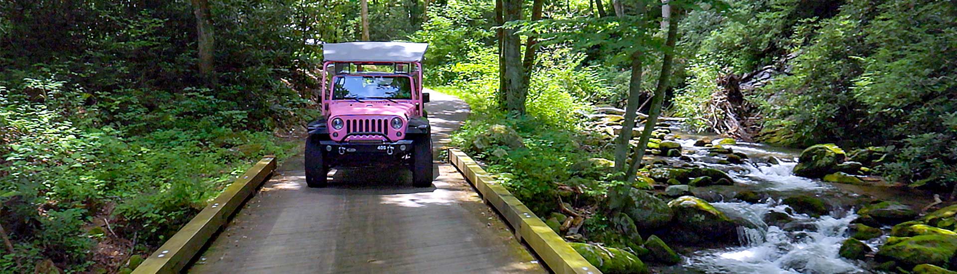 Pink Jeep® Wrangler driving on the densely forested Roaring Fork Motor Nature Trail alongside a flowing stream.