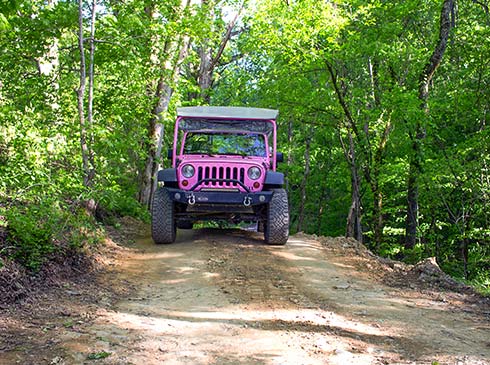 Pink Jeep Wrangler driving towards camera along a private, 4x4 off-road trail, Smoky Mountains Pink Jeep Tours.