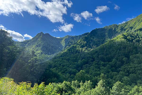 Summertime view of the heavily forested. lush green peaks of the Great Smoky Mountains reach toward a deep blue sky with puffy white clouds.