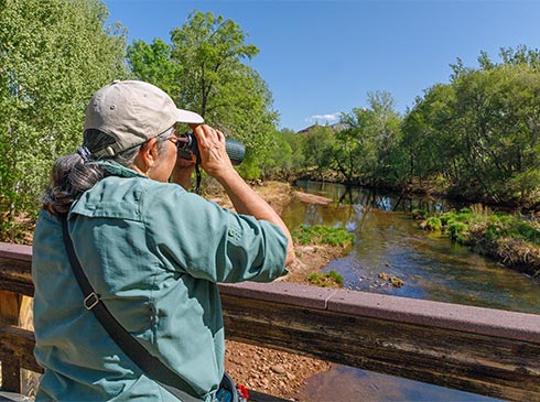 Woman looking through binoculars from a bridge over Oak Creek at Red Rock State Park, Sedona, Arizona.