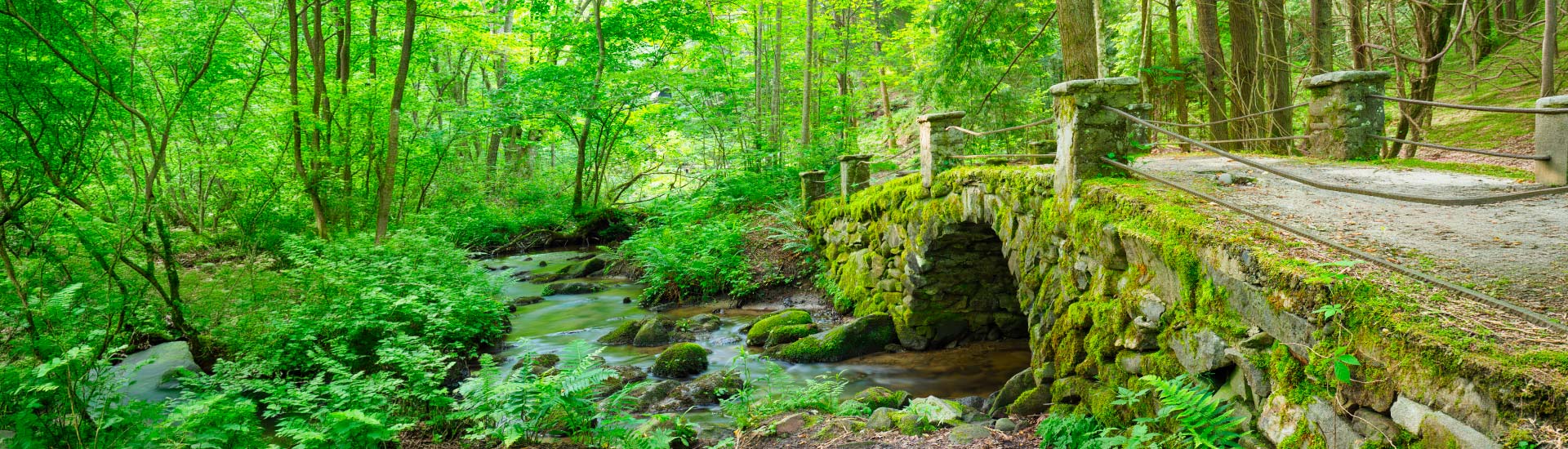 Moss covered Elkmont Troll Bridge, an antique stone bridge near the Little River in the Great Smoky Mountains National Park.