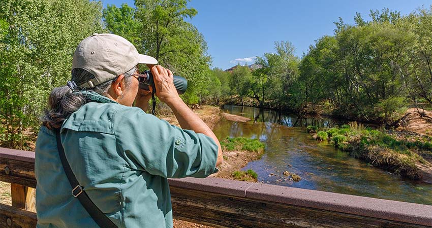 Woman looks through binoculars while standing on a bridge overlooking Oak Creek, as lush trees flank both sides of the river in Red Rock State Park.
