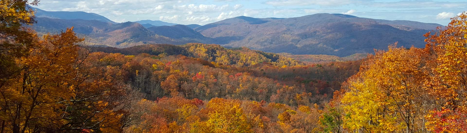A crisp autumn view from the Roaring Fork Motor Trail across colorful fall foliage in the Smoky Mountains.