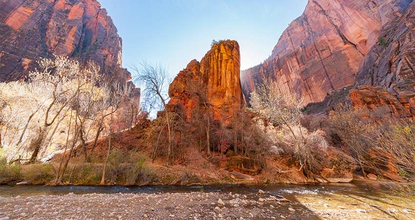 The Virgin River flows in front of the The Temple of Sinawava, gleaming in golden light and surrounded by pink and brown walls of Zion Canyon.