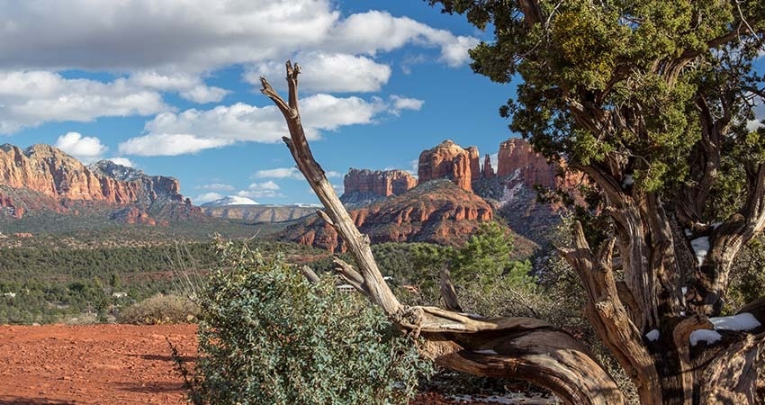 Beautiful view of Cathedral Rock with mesquite tree in the foreground, seen from The Knolls overlook along Red Rock Loop Road in Sedona, AZ.