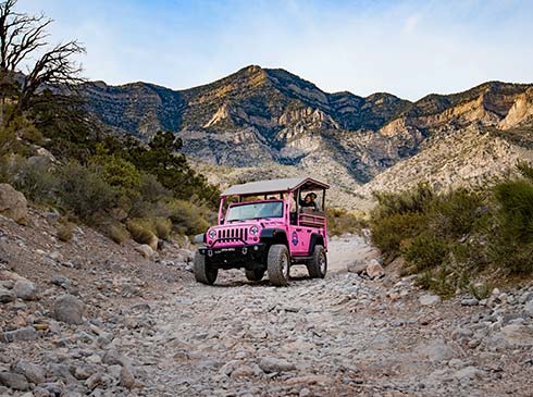 Open-air Pink Jeep Wrangler navigating up the rugged Rocky Gap Road in Nevada's backcountry at Red Rock Canyon.
