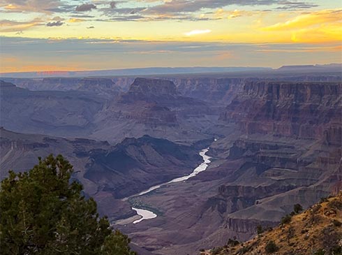 The Grand Canyon and Colorado River painted in purple and yellow hues during the golden hour, seen from Desert View Point.