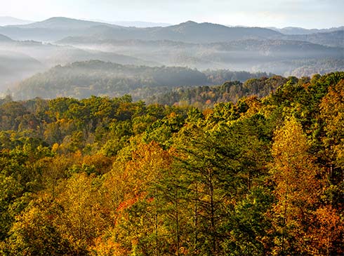  Mountaintop view of autumn trees and fog draped mountain ridges in Great Smoky Mountains National Park, Pink Jeep Smoky Mountain Tours.
