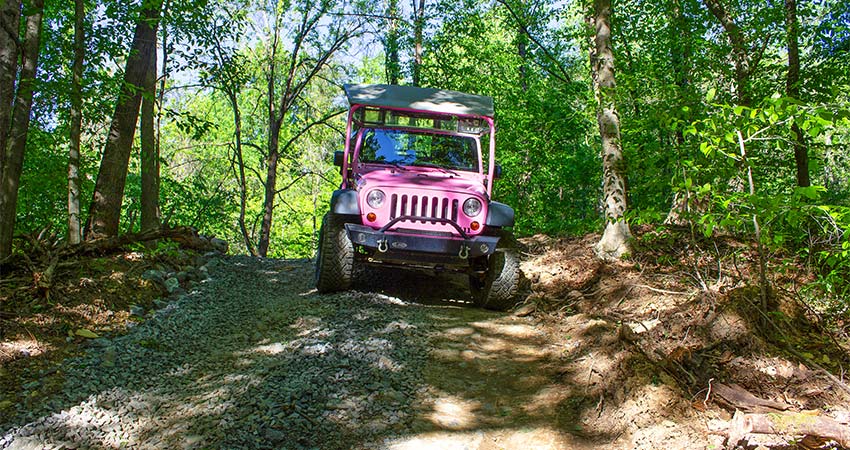 A Smoky Mountains Pink Jeep Wrangler traverses a private, rocky off-road trail through a dense forest.