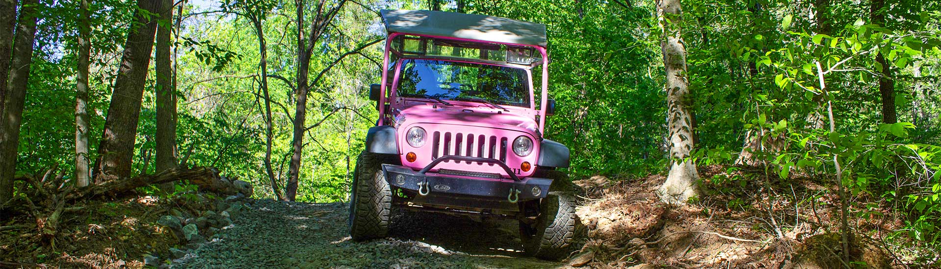 Close-up of an open-air Pink Jeep Wrangler navigating a rocky off-road trail surrounded by dense forest, exclusive to Smoky Mountains Pink Jeep Tours.