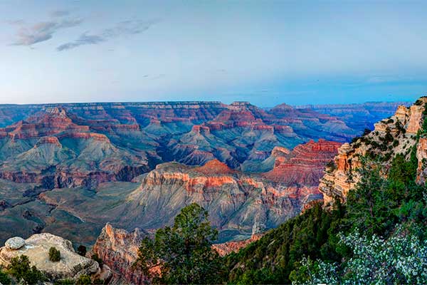 The mutli-colored walls and ridges of the Grand Canyon South Rim are seen from Yaki Point, with lush green foliage in the foreground.