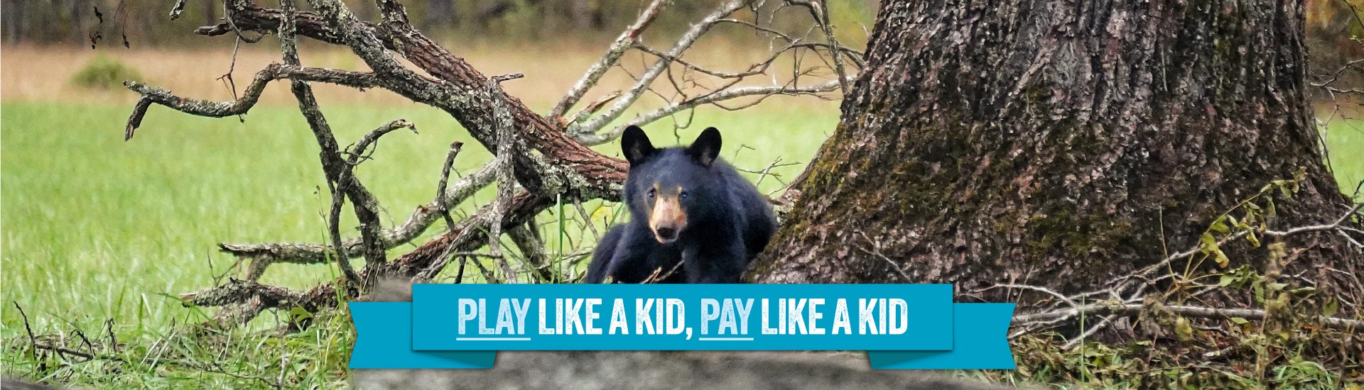 A black bear rests at the base of a tree above a banner reading "Play Like a Kid, Pay Like a Kid"