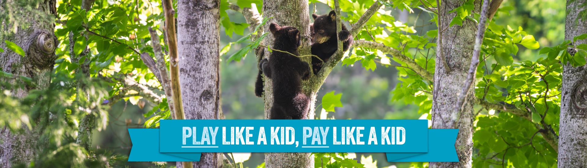 Two bear cubs climb a tree above a banner reading "Play Like a Kid, Pay Like a Kid"