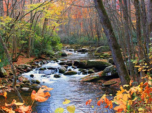 Autumn view of the Little River from Elkmont Little River hiking trail in Great Smoky Mountains National Park, TN.