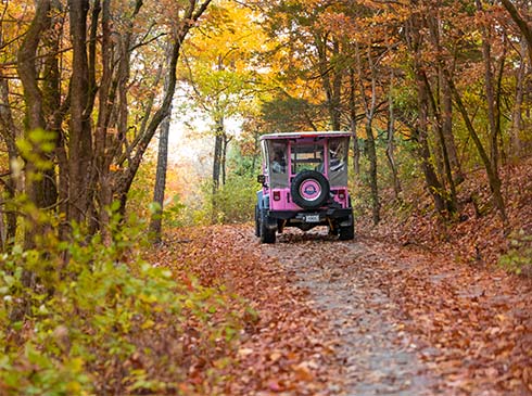 Rear view of Pink Jeep Tour's Jeep Wrangler on a leaf-covered, off-road trail in Branson, Missouri during Autumn.
