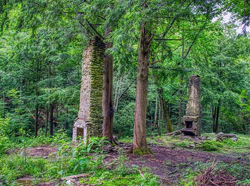 Two stone fireplace chimneys surrounded by lush forest in Elkmont Ghost Town, Great Smoky Mountains National Park, TN.