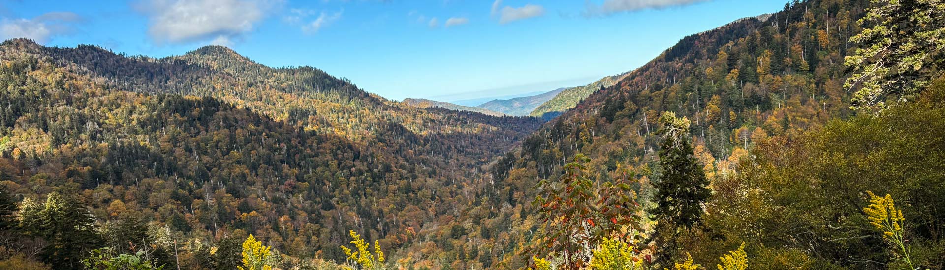 Blue skies above a beautiful autumn landscape of Great Smoky Mountains National Park from Newfound Gap, TN.