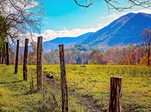 Close-up of a split rail fence stretching out among fall foliage in the Cades Cove Valley, with the blue Smoky Mountains in the background.