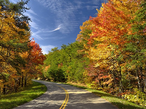 Vibrant fall leaves envelop the winding curves of Foothills Parkway West in Great Smoky Mountains National Park, TN.