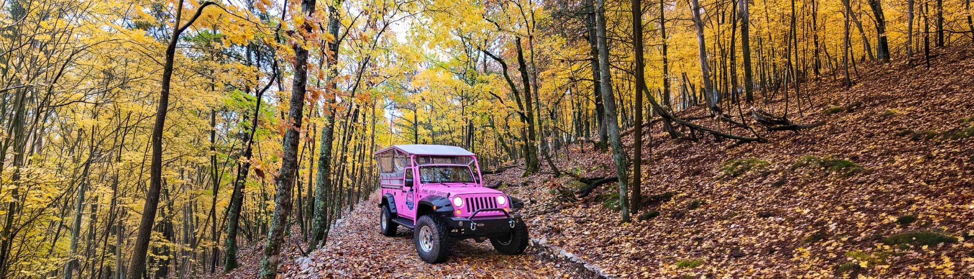 Pink Jeep Tours Branson Jeep Wrangler paused on the Baird Mountain off-road trail covered in fall leaves.