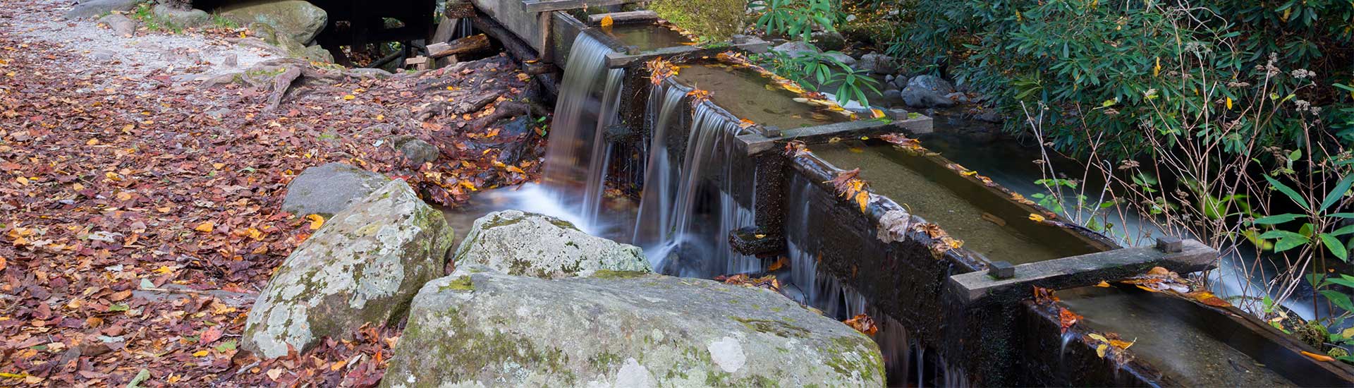 Water overflowing the tub mill shute at Alfred Reagan's Homestead along the Roaring Fork Motor Nature Trail, near Gatlinburg, TN.