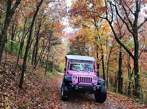 Pink Jeep Wrangler driving towards camera on an off-road trail on Baird Mountain, surrounded by colorful fall trees, Branson, MO.