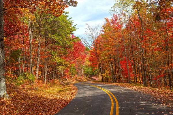 Red autumn colors line the Foothills Parkway during mid-October in the Smoky Mountains of Tennessee.