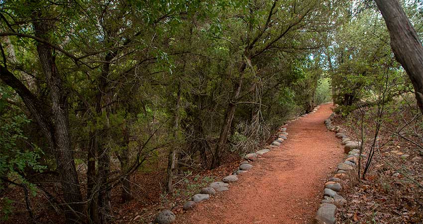 A peaceful red-dirt trail meanders through the trees at Red Rock State Park in Sedona, Arizona.