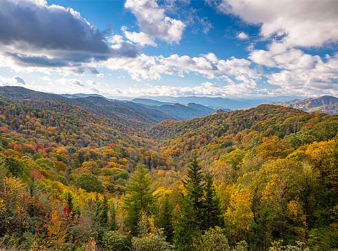 View of the Great Smoky Mountains National Park from Newfound Gap as the autumn colors begin to emerge.