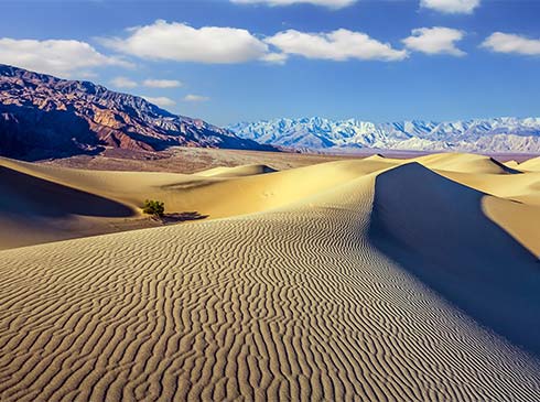 Morning light casts shadows across the ripples of Mesquite Flat Sand Dunes at Death Valley National Park, with a colorful mountains in the distance.