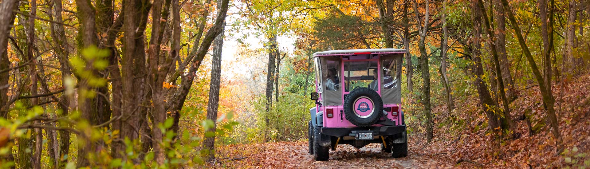 Rear view of Pink Jeep Wrangler traveling down a leaf-covered 4x4 trail lined by Autumn trees, Baird Mountain, Branson, MO.