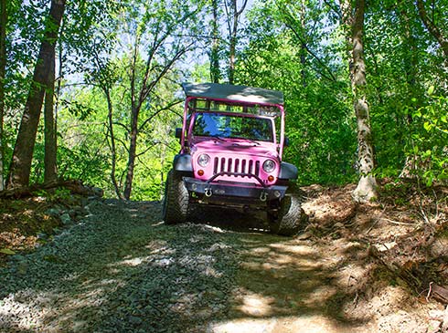 Smoky Mountains Pink Jeep Wrangler navigates a private, rocky off-road Bear Track trail in a dense forest of trees.