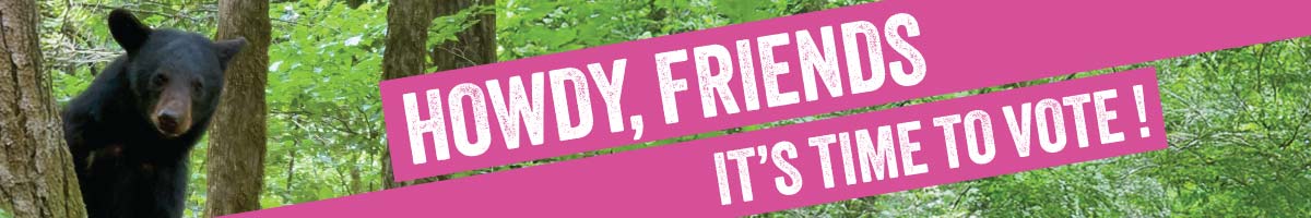 A black bear peers around a tree in a green forest, and a pink banner reads "Howdy, Friends - It's Time to Vote!"