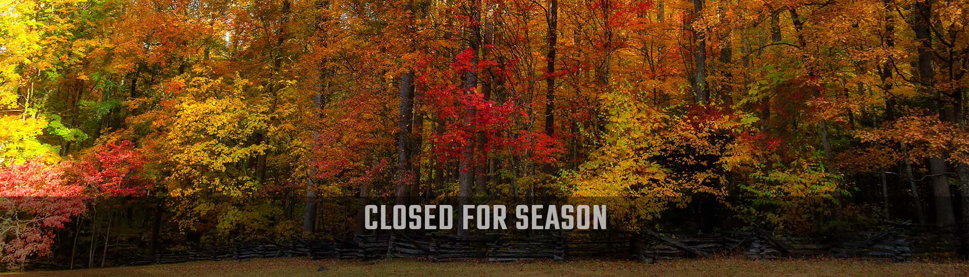Vibrant autumn trees along the Roaring Fork Motor Nature Trail near Gatlinburg, Tennessee with Closed For Season banner.
