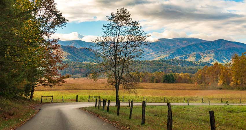 Cades Cove Scenic Loop Road winds through a vibrant autumn landscape in the foothills of the Great Smoky Mountains National Park, TN.