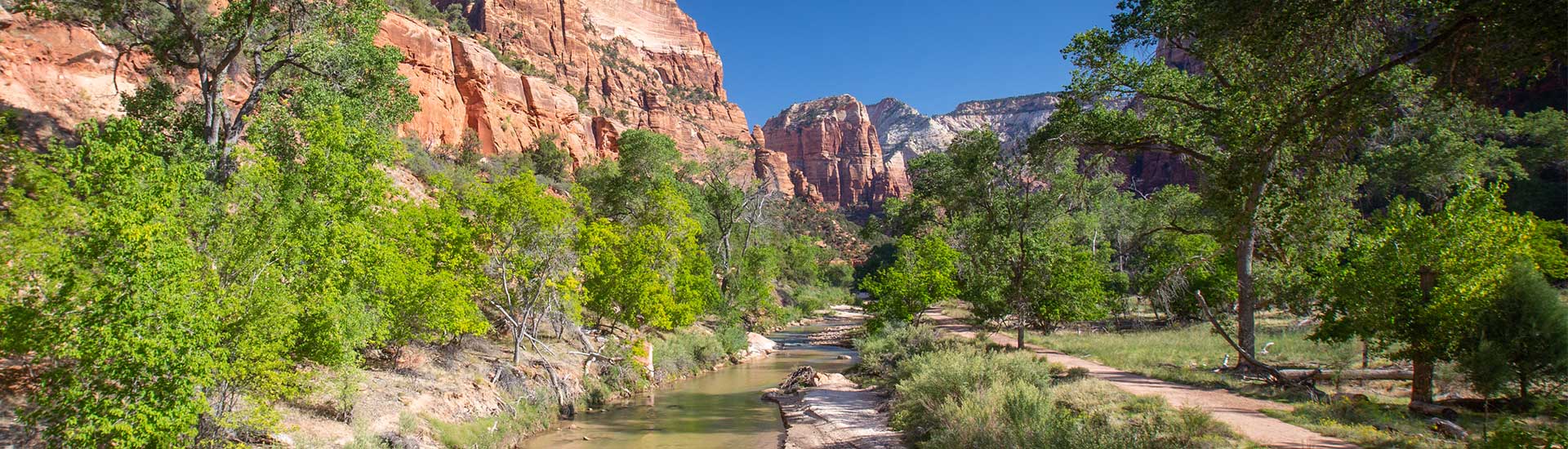 Beautiful summer view of the greenway and walking path along the Virgin River in Zion Canyon, surrounded by the walls of the Deertrap, Cathedral and Majestic Mountain mountains. 