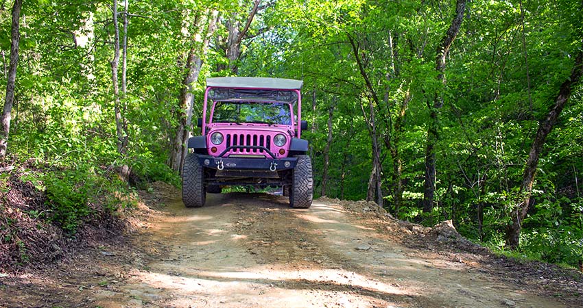 Front view of a Pink Jeep Wrangler on a private 4x4 off-road trail in the Smoky Mountains, exclusive to Pink Jeep Tours.