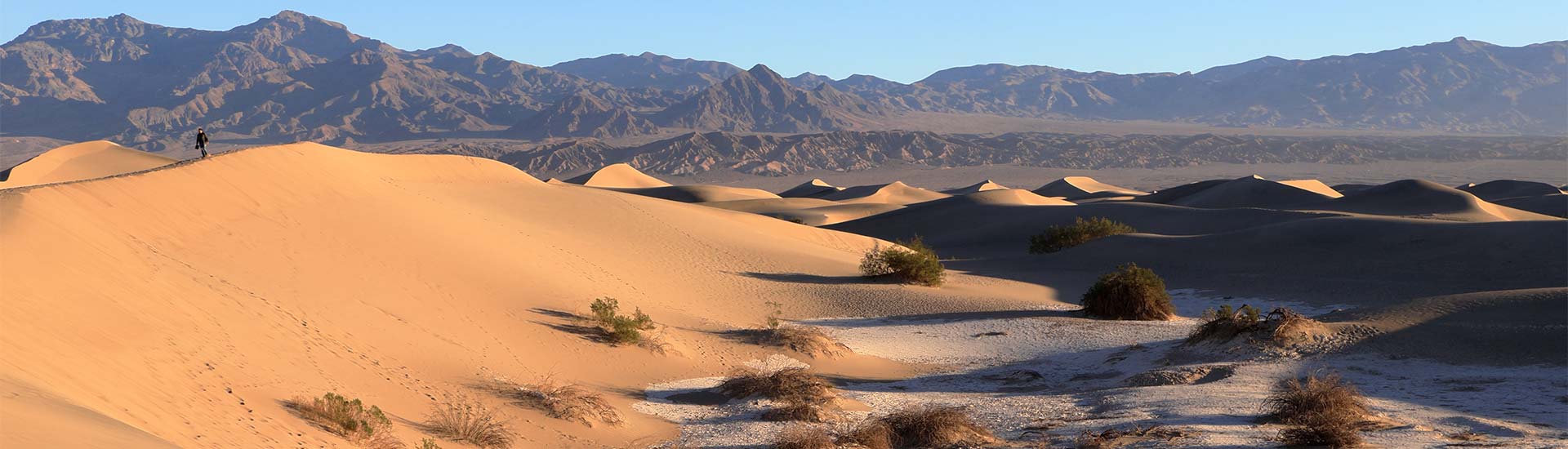 Warm golden light casts shadows over Mesquite Flat Sand Dunes at Death Valley National Park, with mountain ridges in the distance.