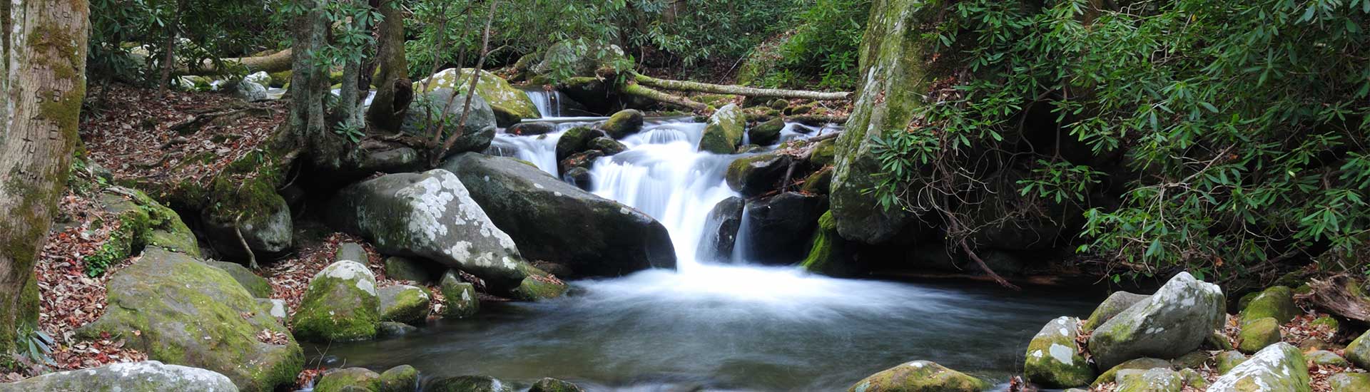 Small waterfall rushing over rocks in the Roaring Fork stream, surrounded by lush forest along the Roaring Fork Motor Nature Trail.
