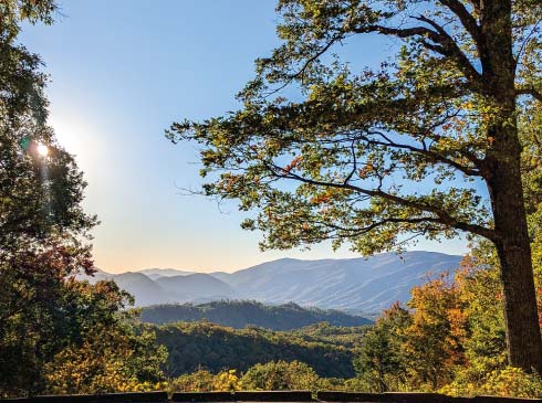 Peering out from the Roaring Fork Motor Trail across colorful fall foliage in the Smoky Mountains.