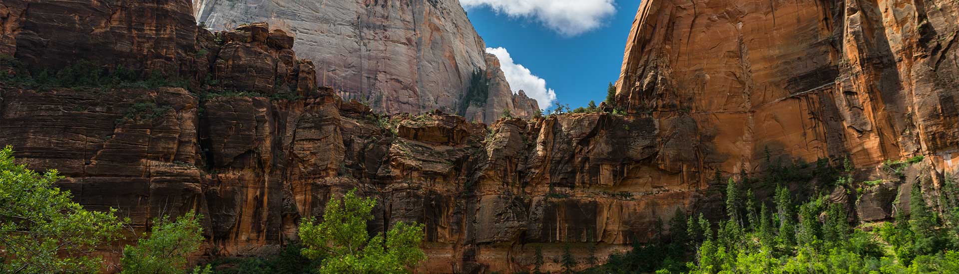 View of Big Bend through Angels Landing with the Great White Throne in the background at Zion National Park, Pink Adventure Tours day trip from Las Vegas.