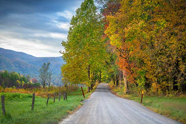 The Cades Cove Loop Road meanders through quite meadows lined with kaleidoscope of fall color during autumn in the Smoky Mountains.