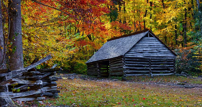 Historic wooden cabin nestled among vibrant fall-colored trees along the Roaring Fork Motor Nature Trail in the Smoky Mountains, Tennessee.