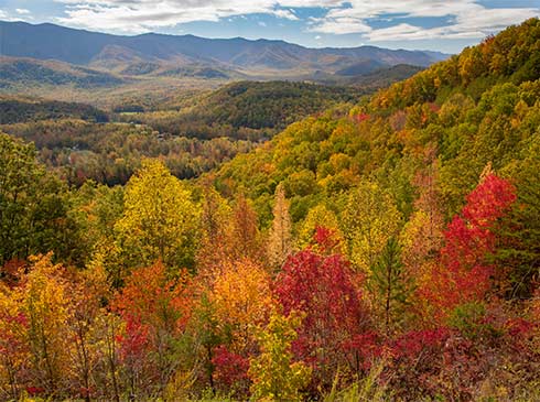 View from the Foothills Parkway of the rolling hills of the Great Smoky Mountains draped in early fall colors.